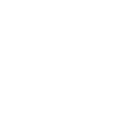abnt